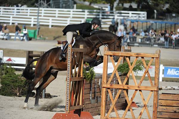 WEG3-10-6-10-Hunters-3639-DDeRosaPhoto.jpg