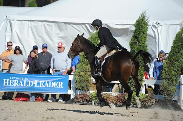 WEG3-10-6-10-Hunters-3643-DDeRosaPhoto.jpg