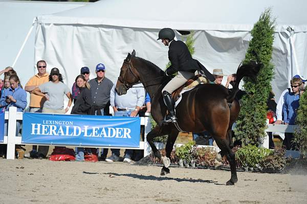 WEG3-10-6-10-Hunters-3644-DDeRosaPhoto.jpg
