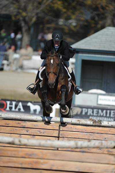 WEG3-10-6-10-Hunters-3649-DDeRosaPhoto.jpg