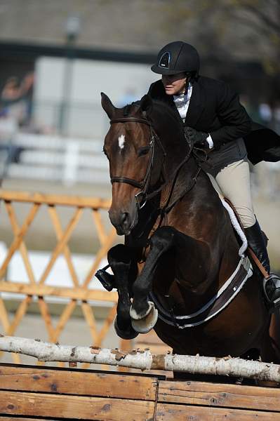 WEG3-10-6-10-Hunters-3650-DDeRosaPhoto.jpg