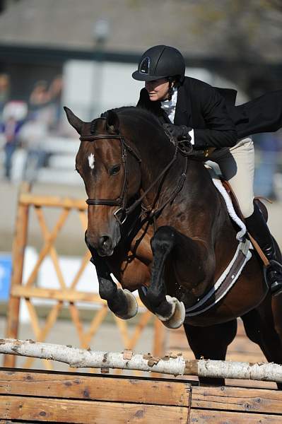 WEG3-10-6-10-Hunters-3651-DDeRosaPhoto.jpg