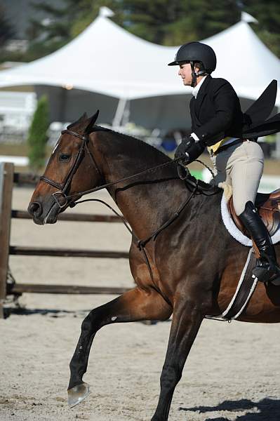 WEG3-10-6-10-Hunters-3653-DDeRosaPhoto.jpg