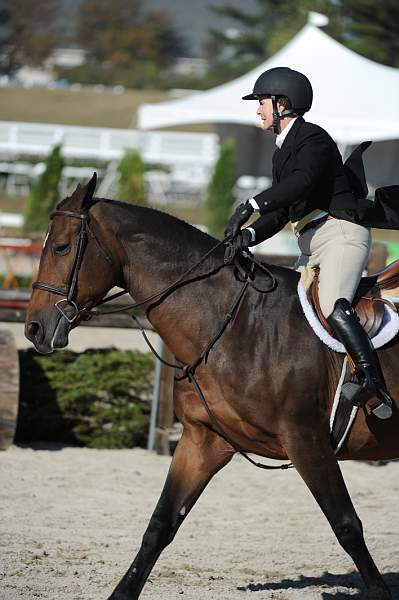 WEG3-10-6-10-Hunters-3654-DDeRosaPhoto.jpg