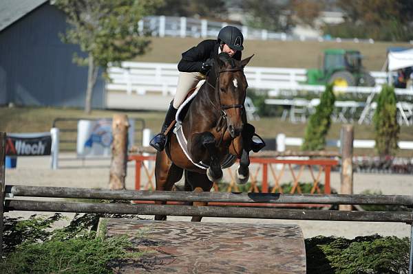 WEG3-10-6-10-Hunters-3657-DDeRosaPhoto.jpg
