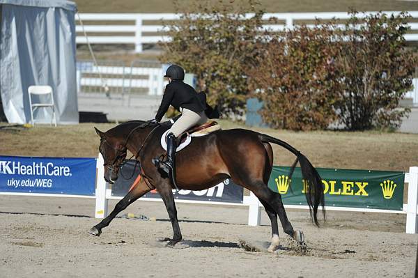 WEG3-10-6-10-Hunters-3665-DDeRosaPhoto.jpg