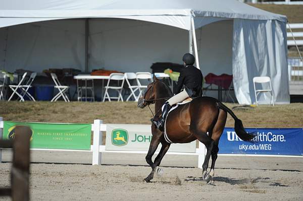 WEG3-10-6-10-Hunters-3667-DDeRosaPhoto.jpg