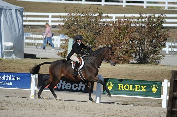 WEG3-10-6-10-Hunters-3670-DDeRosaPhoto.jpg