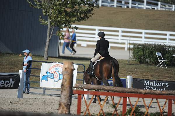 WEG3-10-6-10-Hunters-3688-DDeRosaPhoto.jpg