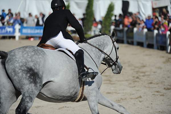 WEG3-10-6-10-Hunters-3722-DDeRosaPhoto.jpg