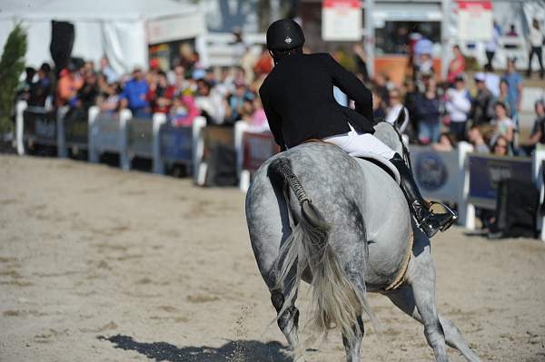 WEG3-10-6-10-Hunters-3723-DDeRosaPhoto.jpg