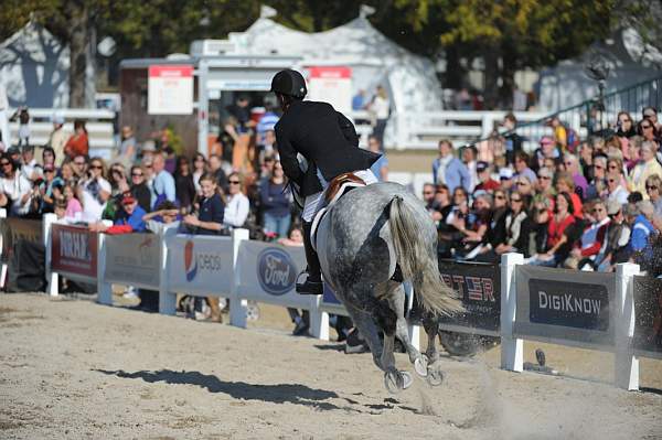WEG3-10-6-10-Hunters-3725-DDeRosaPhoto.jpg