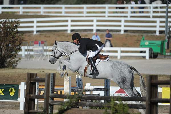 WEG3-10-6-10-Hunters-3730-DDeRosaPhoto.jpg