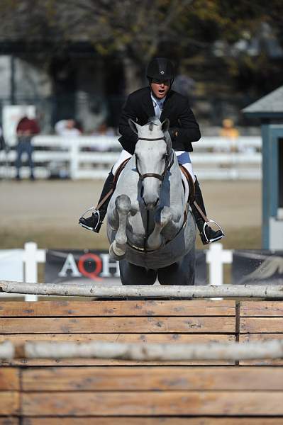 WEG3-10-6-10-Hunters-3759-DDeRosaPhoto.jpg