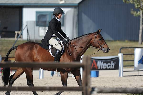 WEG3-10-6-10-Hunters-3761-DDeRosaPhoto.jpg
