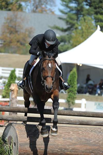 WEG3-10-7-10-Hunters-WEG_6033-DDeRosaPhoto.jpg
