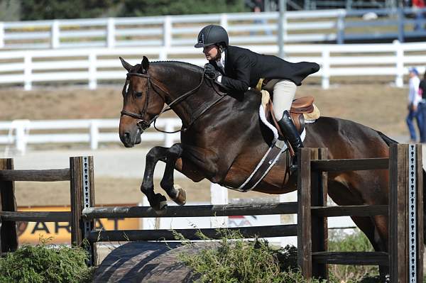 WEG3-10-7-10-Hunters-WEG_6035-DDeRosaPhoto.jpg