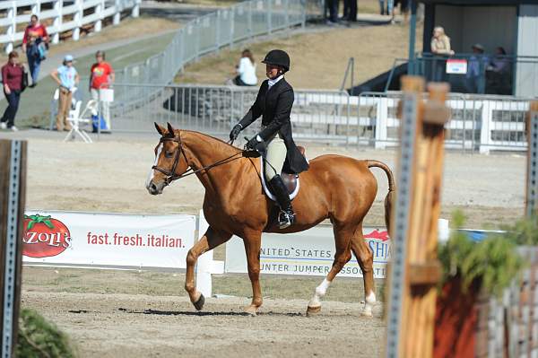 WEG3-10-7-10-Hunters-WEG_6049-DDeRosaPhoto.jpg