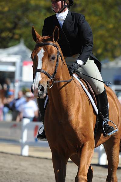 WEG3-10-7-10-Hunters-WEG_6052-DDeRosaPhoto.jpg