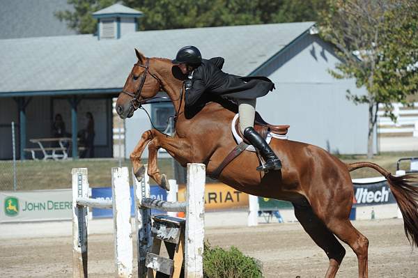 WEG3-10-7-10-Hunters-WEG_6081-DDeRosaPhoto.jpg