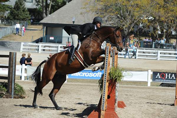 WEG3-10-7-10-Hunters-WEG_6100-DDeRosaPhoto.jpg