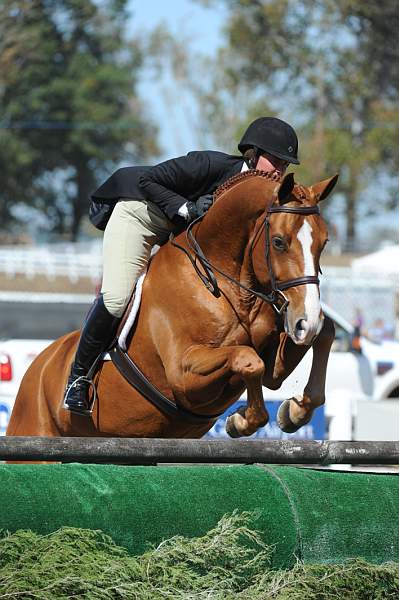 WEG3-10-7-10-Hunters-WEG_6135-DDeRosaPhoto.jpg
