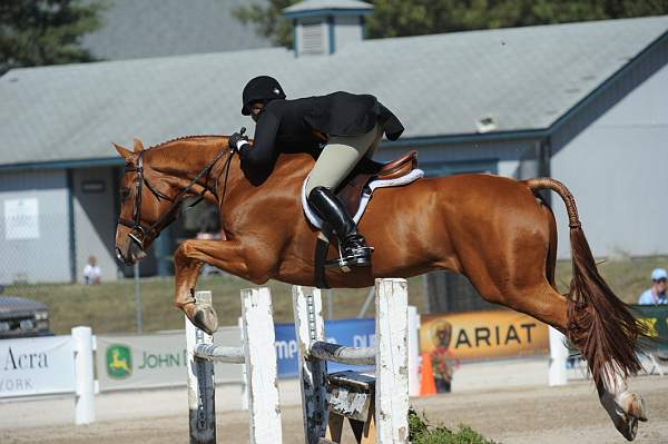 WEG3-10-7-10-Hunters-WEG_6140-DDeRosaPhoto.jpg