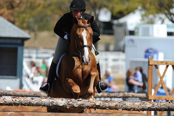 WEG3-10-7-10-Hunters-WEG_6148-DDeRosaPhoto.jpg