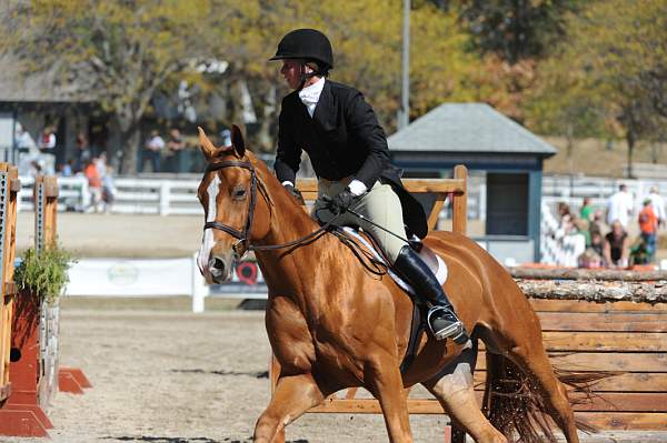 WEG3-10-7-10-Hunters-WEG_6150-DDeRosaPhoto.jpg
