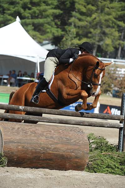WEG3-10-7-10-Hunters-WEG_6151-DDeRosaPhoto.jpg