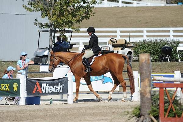 WEG3-10-7-10-Hunters-WEG_6160-DDeRosaPhoto.jpg