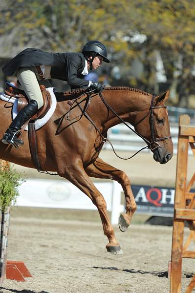 WEG3-10-7-10-Hunters-WEG_6169-DDeRosaPhoto.jpg