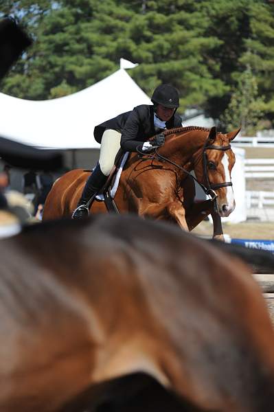 WEG3-10-7-10-Hunters-WEG_6191-DDeRosaPhoto.jpg