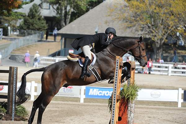 WEG3-10-7-10-Hunters-WEG_6196-DDeRosaPhoto.jpg