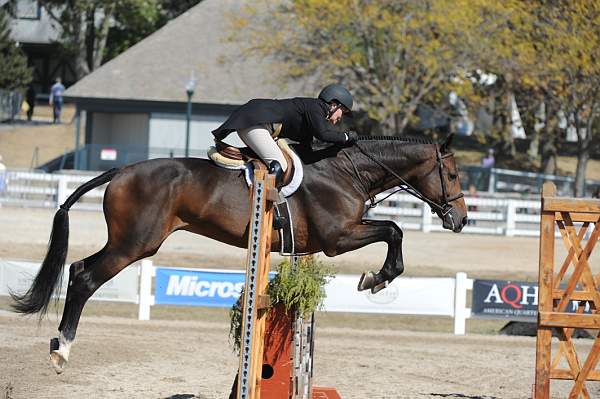 WEG3-10-7-10-Hunters-WEG_6197-DDeRosaPhoto.jpg