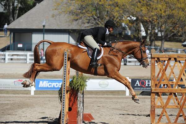 WEG3-10-7-10-Hunters-WEG_6200-DDeRosaPhoto.jpg