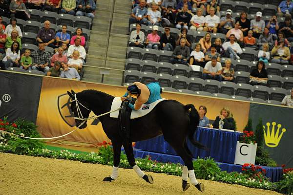 WEG3-10-7-10-Vaulting-5735-DDeRosaPhoto.jpg