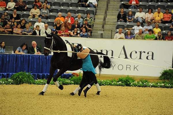 WEG3-10-7-10-Vaulting-5736-DDeRosaPhoto.jpg