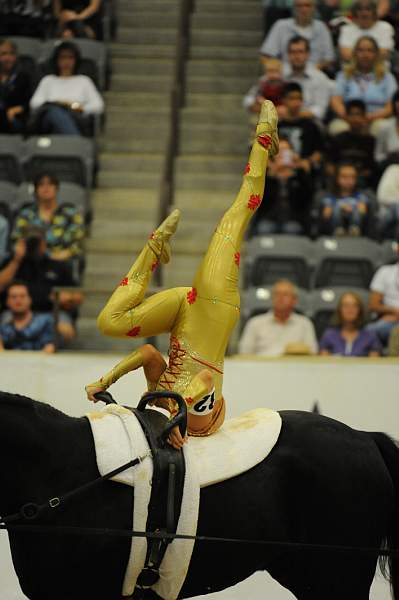 WEG3-10-7-10-Vaulting-5752-DDeRosaPhoto.jpg