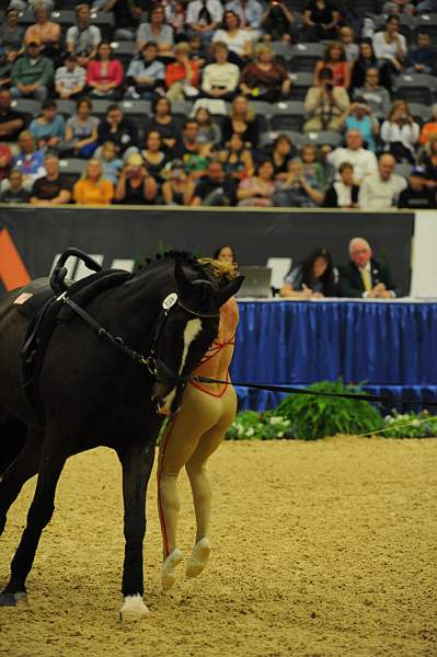 WEG3-10-7-10-Vaulting-5793-DDeRosaPhoto.jpg