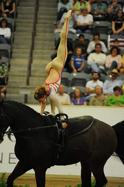 WEG3-10-7-10-Vaulting-5799-DDeRosaPhoto.jpg