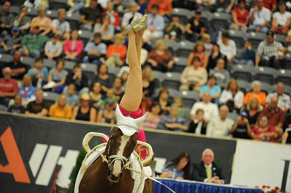 WEG3-10-7-10-Vaulting-5827-DDeRosaPhoto.jpg