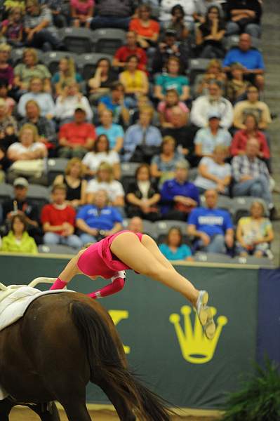 WEG3-10-7-10-Vaulting-5843-DDeRosaPhoto.jpg
