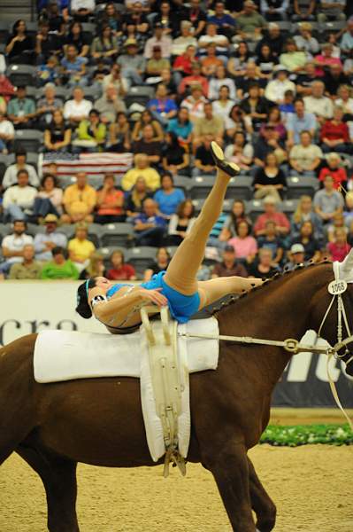 WEG3-10-7-10-Vaulting-5857-DDeRosaPhoto.jpg