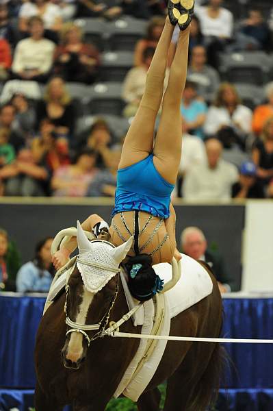 WEG3-10-7-10-Vaulting-5862-DDeRosaPhoto.jpg