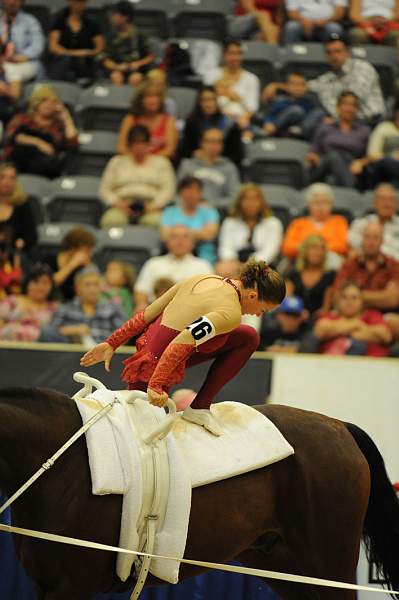 WEG3-10-7-10-Vaulting-5950-DDeRosaPhoto.jpg
