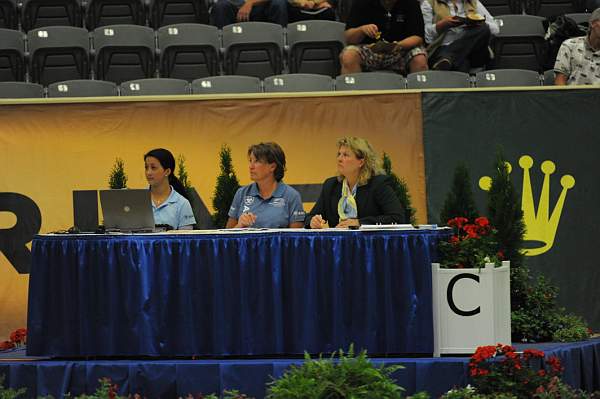 WEG3-10-7-10-Vaulting-DSC_6529-DDeRosaPhoto.jpg