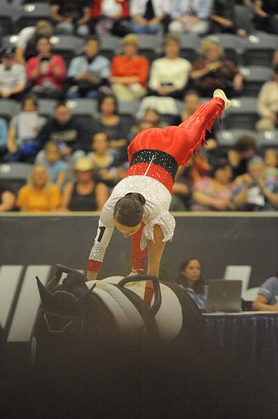 WEG3-10-7-10-Vaulting-DSC_6543-DDeRosaPhoto.jpg