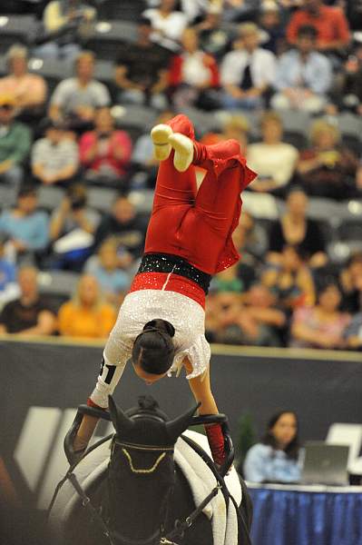 WEG3-10-7-10-Vaulting-DSC_6553-DDeRosaPhoto.jpg