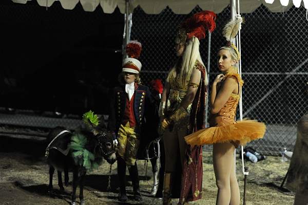 WEG1-9-22-10-Miramar_0155-DDeRosaPhoto.jpg